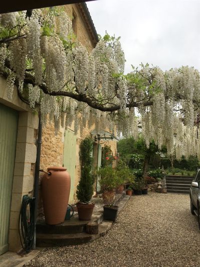Image No.16-Maison de 3 chambres à vendre à Saint-Front-sur-Lémance