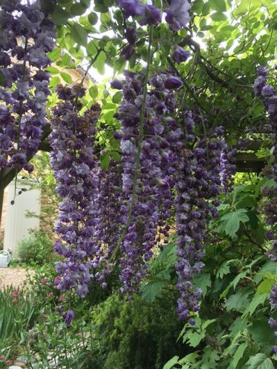 Image No.43-Maison de 3 chambres à vendre à Saint-Front-sur-Lémance