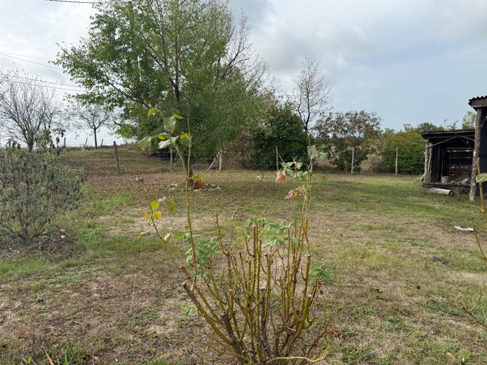 Image No.19-3 Bed House for sale