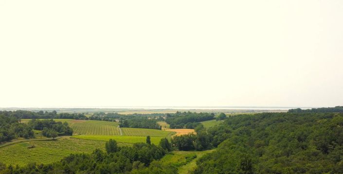 Image No.34-4 Bed House for sale