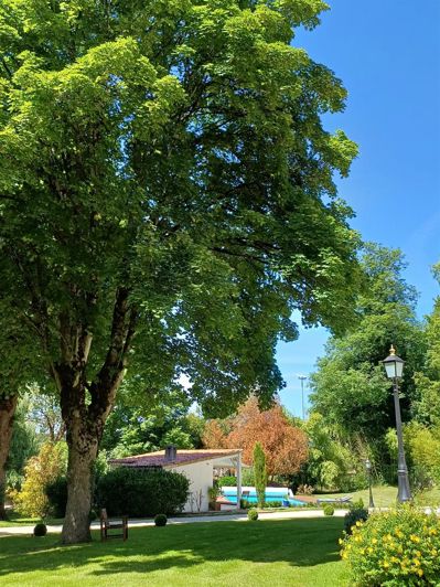 Image No.41-6 Bed House for sale