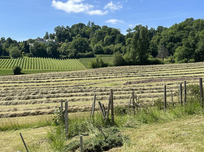 Image No.17-Maison de 3 chambres à vendre à Oloron-Sainte-Marie