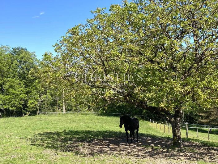 Image No.42-7 Bed House for sale