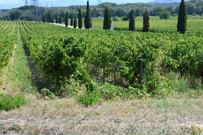 Image No.27-Maison de 10 chambres à vendre à Saint-Laurent-des-Arbres