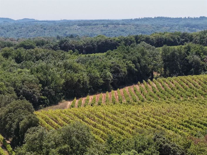 Image No.4-Maison de 9 chambres à vendre à Uzès