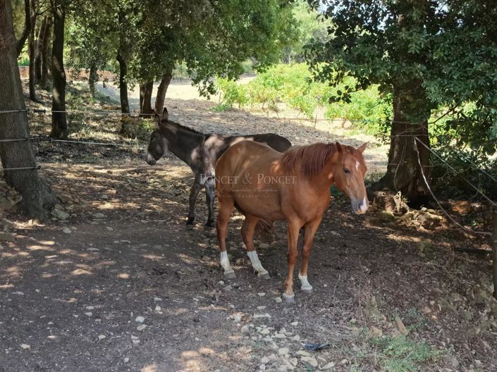 Image No.6-Maison de 9 chambres à vendre à Uzès