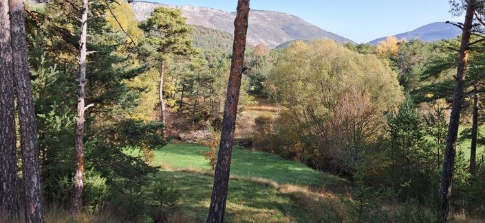 Image No.5-6 Bed House for sale