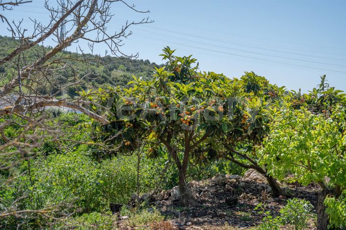 Image No.13-1 Bed House for sale