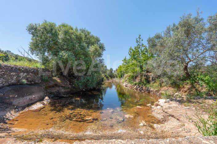 Image No.16-1 Bed House for sale