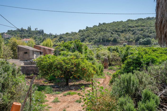 Image No.20-1 Bed House for sale