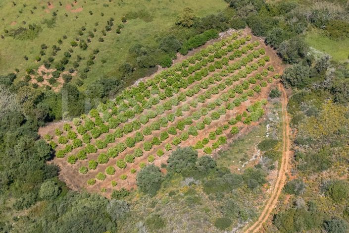 Image No.24-1 Bed House for sale