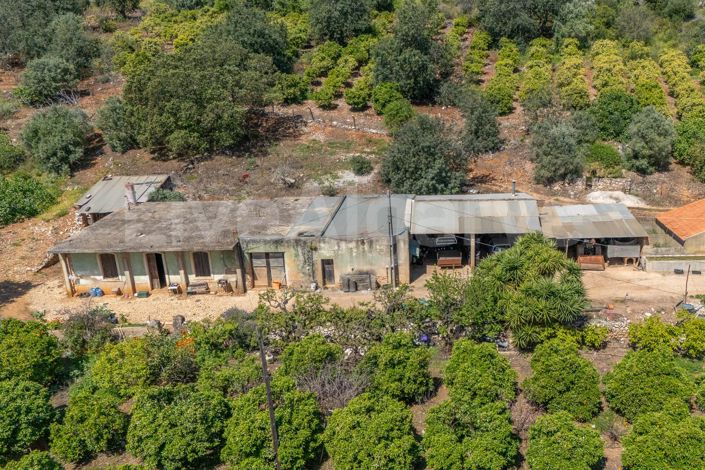 Image No.26-1 Bed House for sale