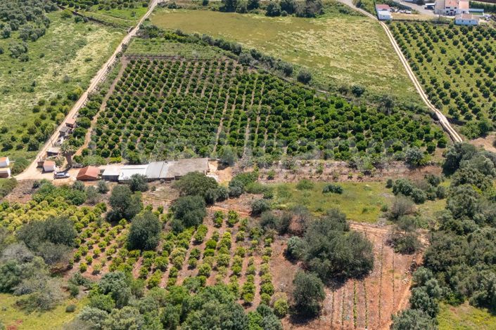 Image No.3-1 Bed House for sale