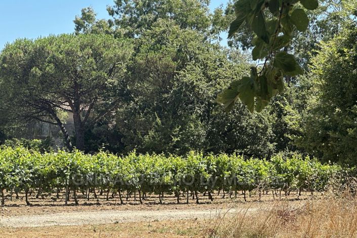 Image No.6-1 Bed House for sale