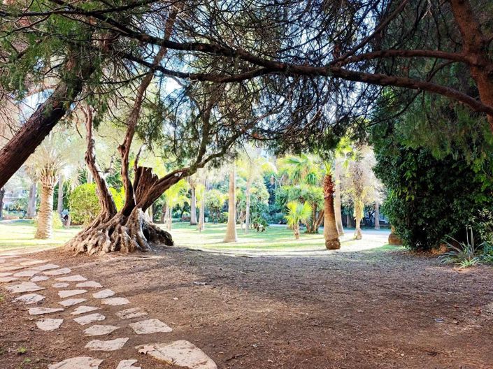 Image No.20-1 Bed Apartment for sale