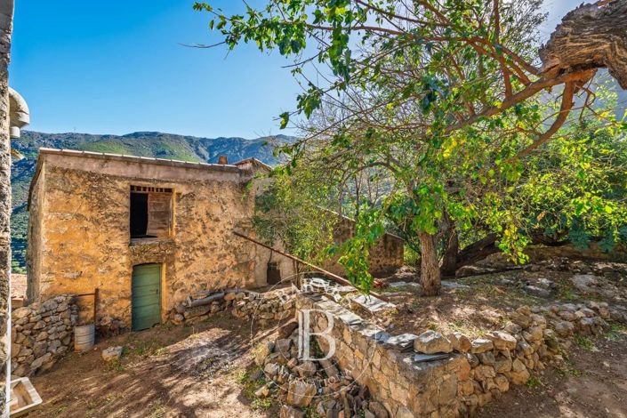 Image No.2-House for sale