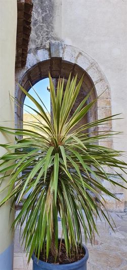 Image No.27-Maison de 4 chambres à vendre à Villecroze