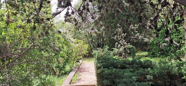 Image No.20-4 Bed House for sale