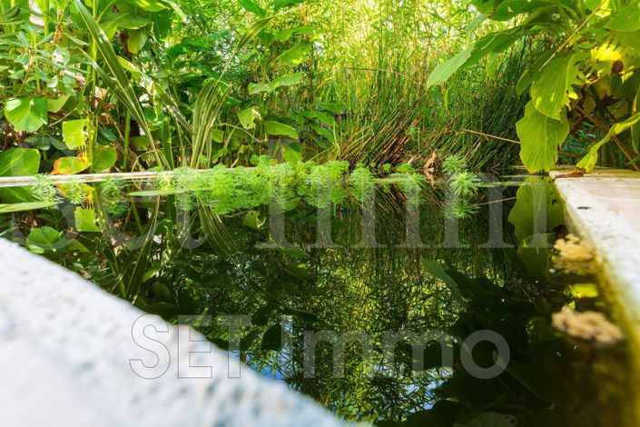 Image No.19-Maison de 4 chambres à vendre à Collias