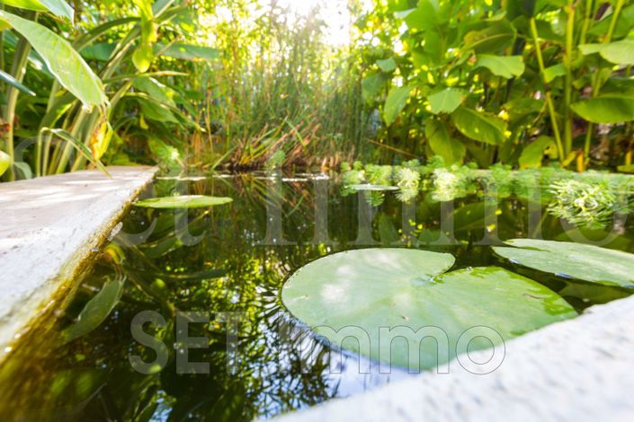 Image No.4-4 Bed House for sale