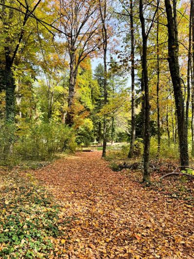 Image No.18-Maison de 7 chambres à vendre à Saint-Pierre-d'Argençon