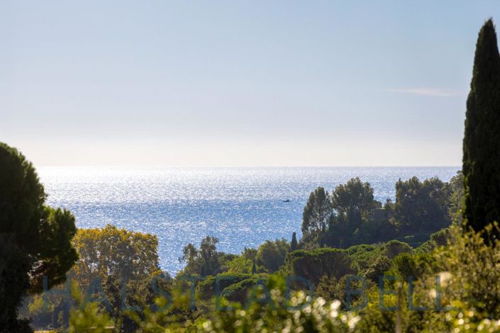 Image No.16-6 Bed House for sale