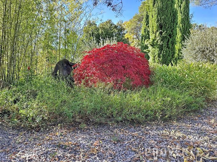 Image No.19-3 Bed House for sale