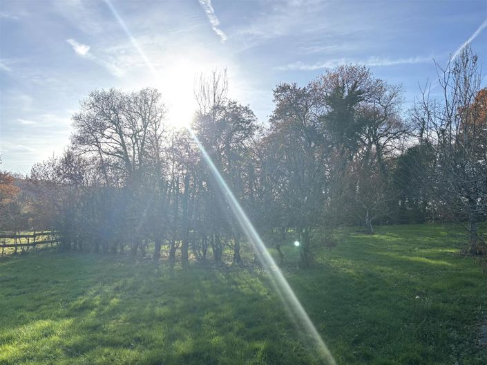 Image No.8-Maison de 3 chambres à vendre à Lannepax