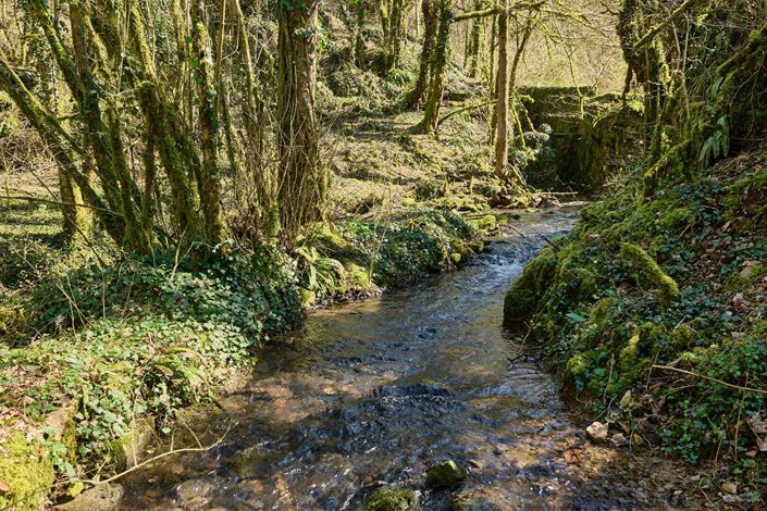 Image No.4-Propriété de 7 chambres à vendre à Montagna-le-Reconduit