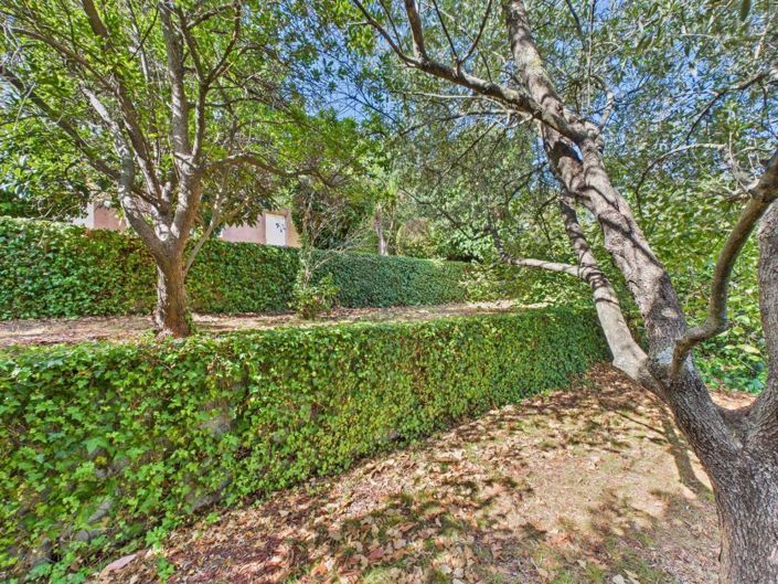 Image No.21-Maison de 4 chambres à vendre à Ajaccio