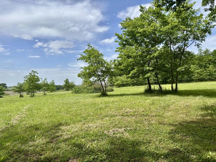 Image No.2-Maison de 3 chambres à vendre à Courrensan