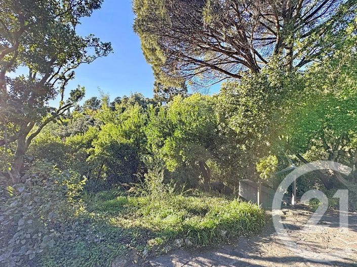 Image No.17-3 Bed House for sale