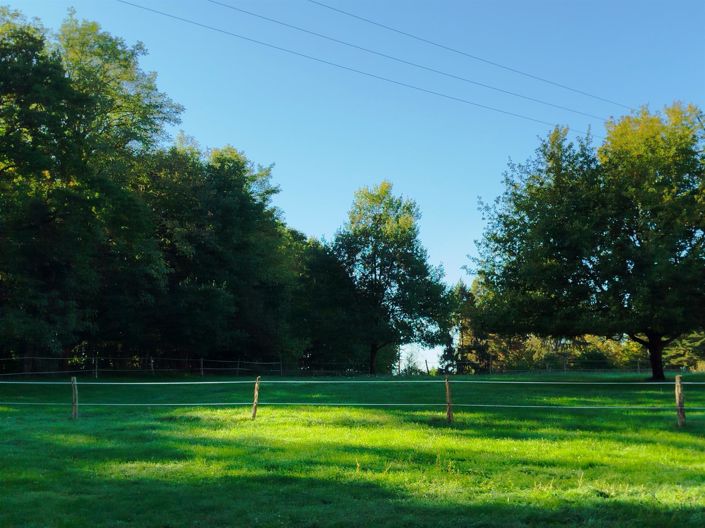 Image No.15-Maison de 2 chambres à vendre à Chambray-lès-Tours