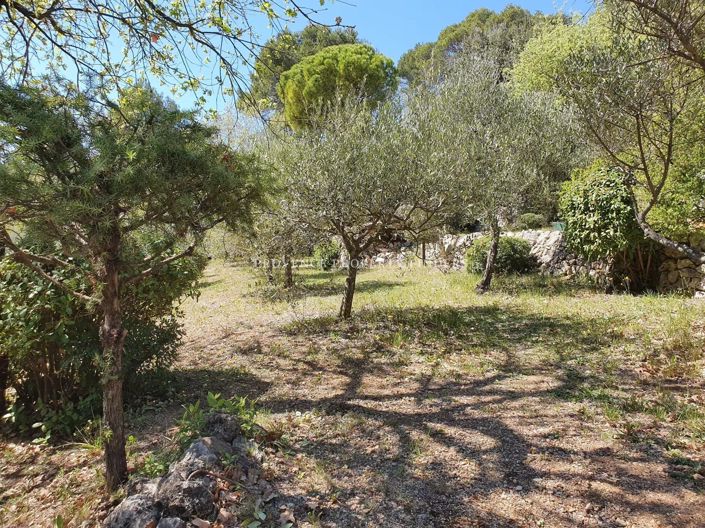 Image No.25-3 Bed House for sale