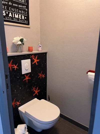 Image No.13-Maison de 5 chambres à vendre à Oursbelille