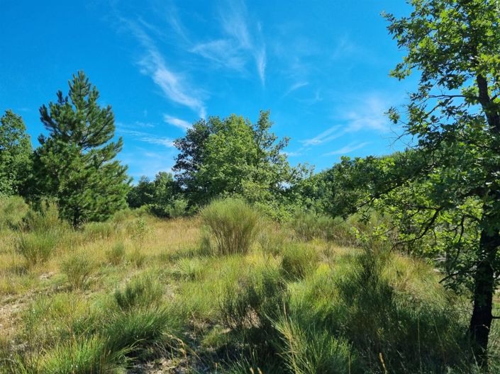 Image No.24-Maison de 2 chambres à vendre à Embrun