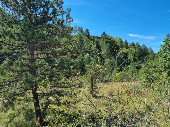 Image No.25-Maison de 2 chambres à vendre à Embrun