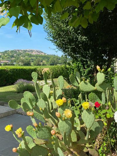 Image No.17-4 Bed House for sale