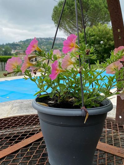 Image No.18-4 Bed House for sale