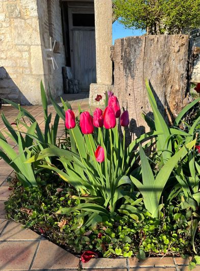 Image No.60-Maison de 4 chambres à vendre à Lauzerte