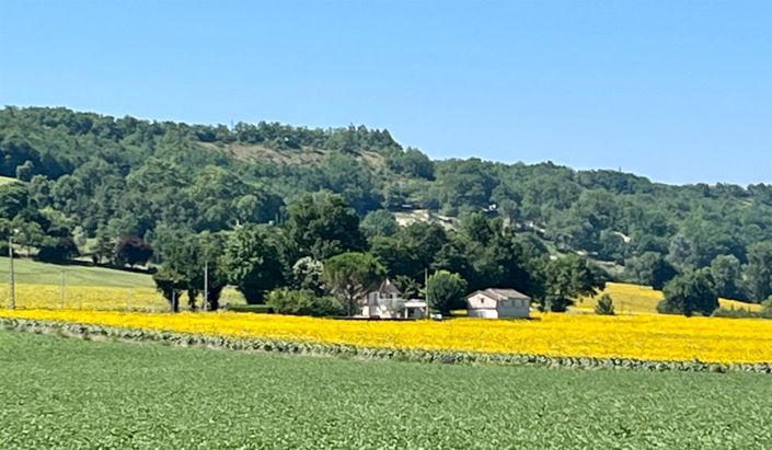 Image No.8-Maison de 4 chambres à vendre à Lauzerte