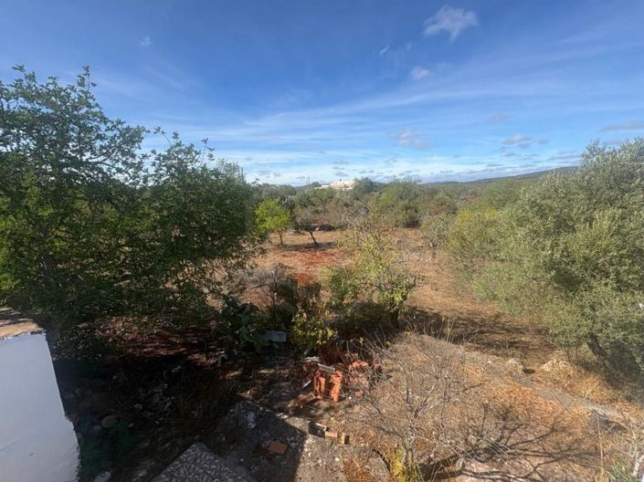 Image No.10-Maison de 4 chambres à vendre à Loule