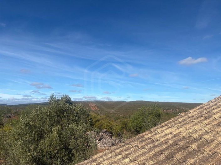 Image No.27-Maison de 4 chambres à vendre à Loule