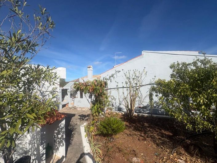 Image No.5-4 Bed House for sale