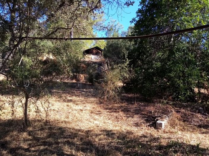 Image No.30-Maison de 3 chambres à vendre à Loule