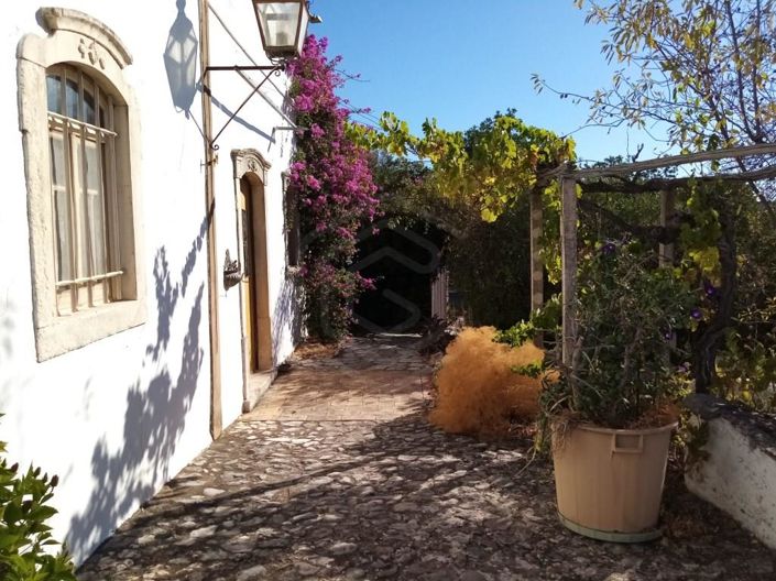 Image No.4-Maison de 3 chambres à vendre à Loule