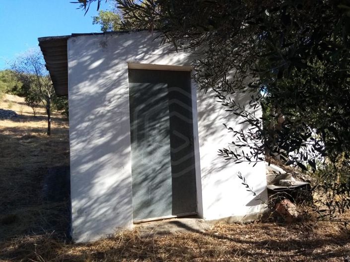 Image No.42-Maison de 3 chambres à vendre à Loule