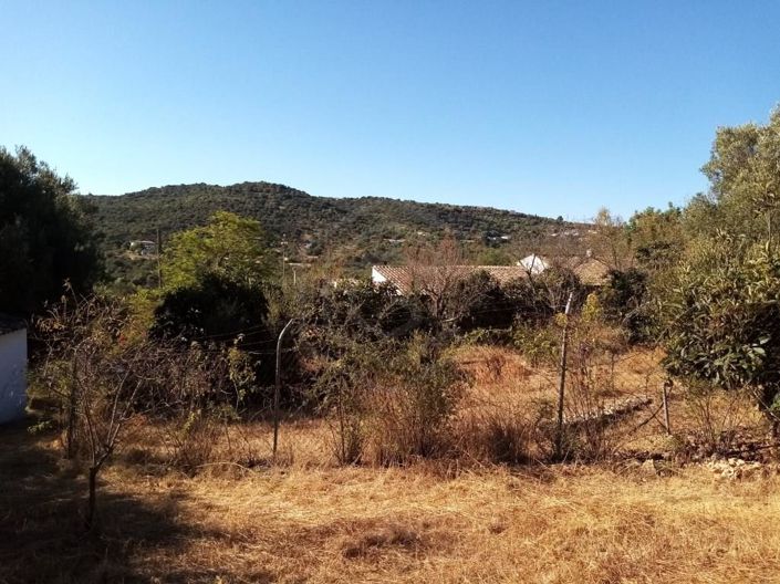 Image No.43-Maison de 3 chambres à vendre à Loule