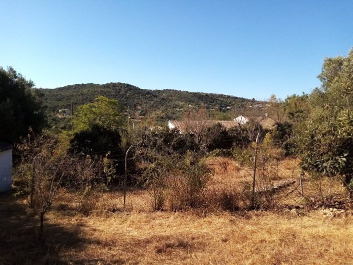 Image No.43-3 Bed House for sale