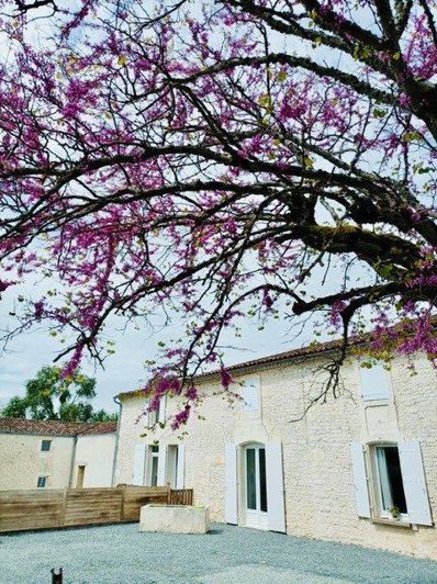 Image No.17-Maison de 7 chambres à vendre à Corme-Écluse